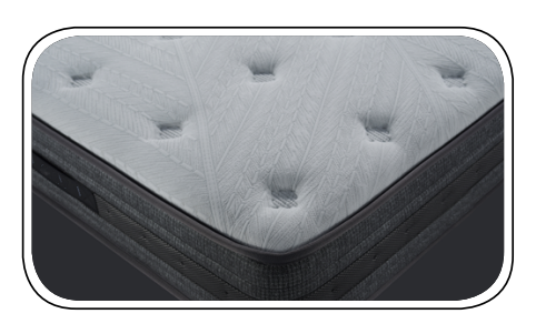 XI Serene Sleep II